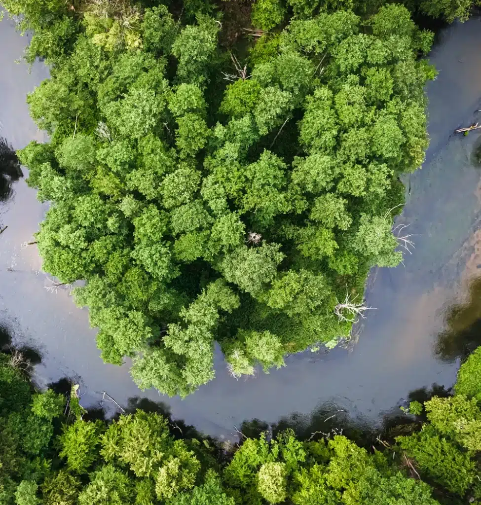 What we do ZYTA VENTURES