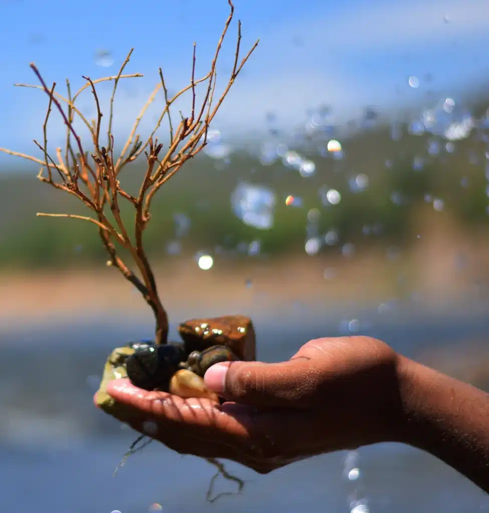 Who we are ZYTA VENTIRES