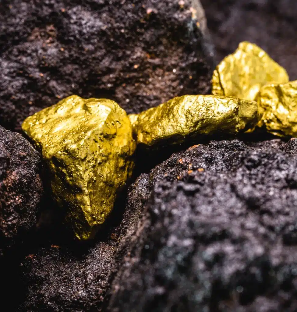 Why choose us ZYTA VENTURES